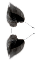 Zestaw Lis Korek Analny I Uszy Plug Grey Fox Tail Set Whipsmart