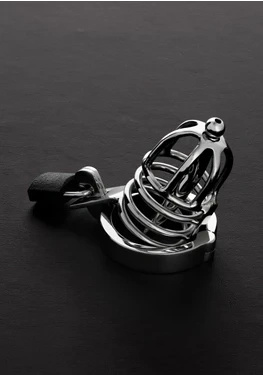 Steel Attica stalowa klatka zabezpieczająca z kłódką 45 mm