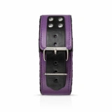 Secret Pleasure Chest Purple Apprentice zestaw do bondage dla początkujących, fioletowy
