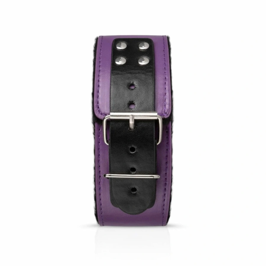 Secret Pleasure Chest Purple Apprentice zestaw do bondage dla początkujących, fioletowy